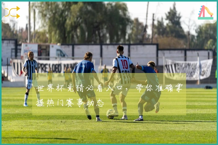 世界杯竞猜必看入口，带你准确掌握热门赛事动态